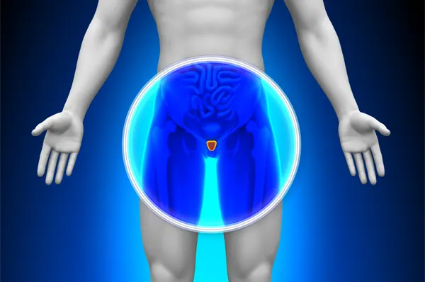 Slika za kategoriju Prostata