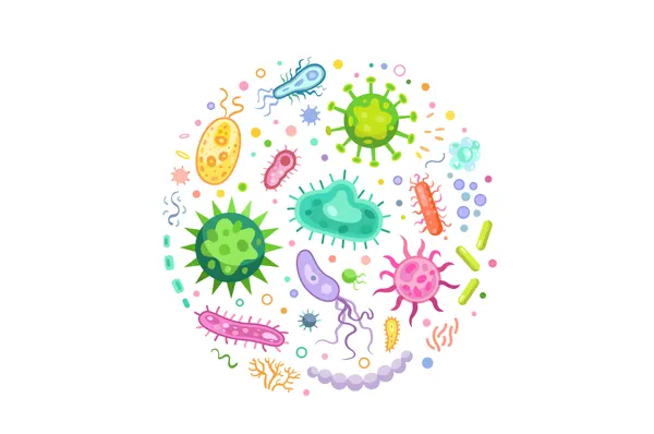 Slika za kategoriju Infekcije i paraziti