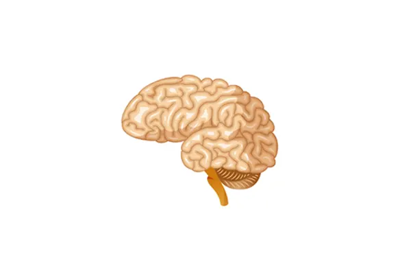 Slika za kategoriju Neurološki